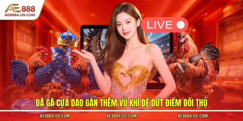 Đá gà cựa dao gắn thêm vũ khí để dứt điểm đối thủ