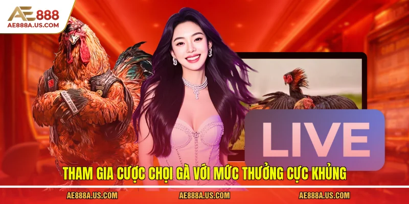 Tham gia cược chọi gà với mức thưởng cực khủng
